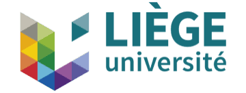 University of Liege Logo